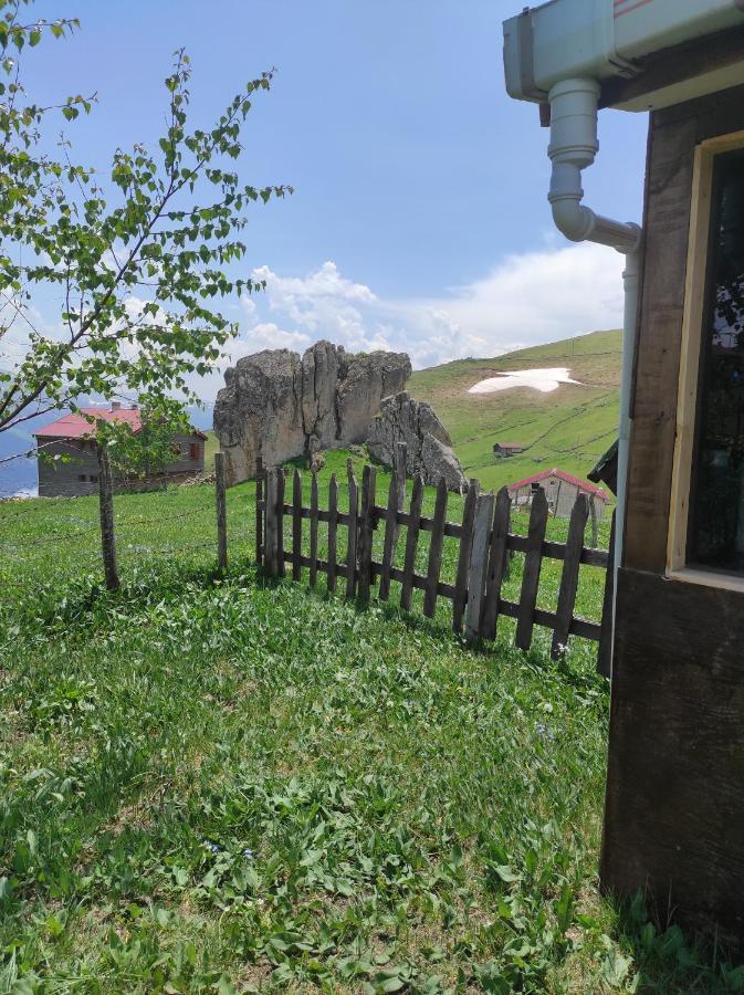 Birlik Yaylakent Caykara Экстерьер фото